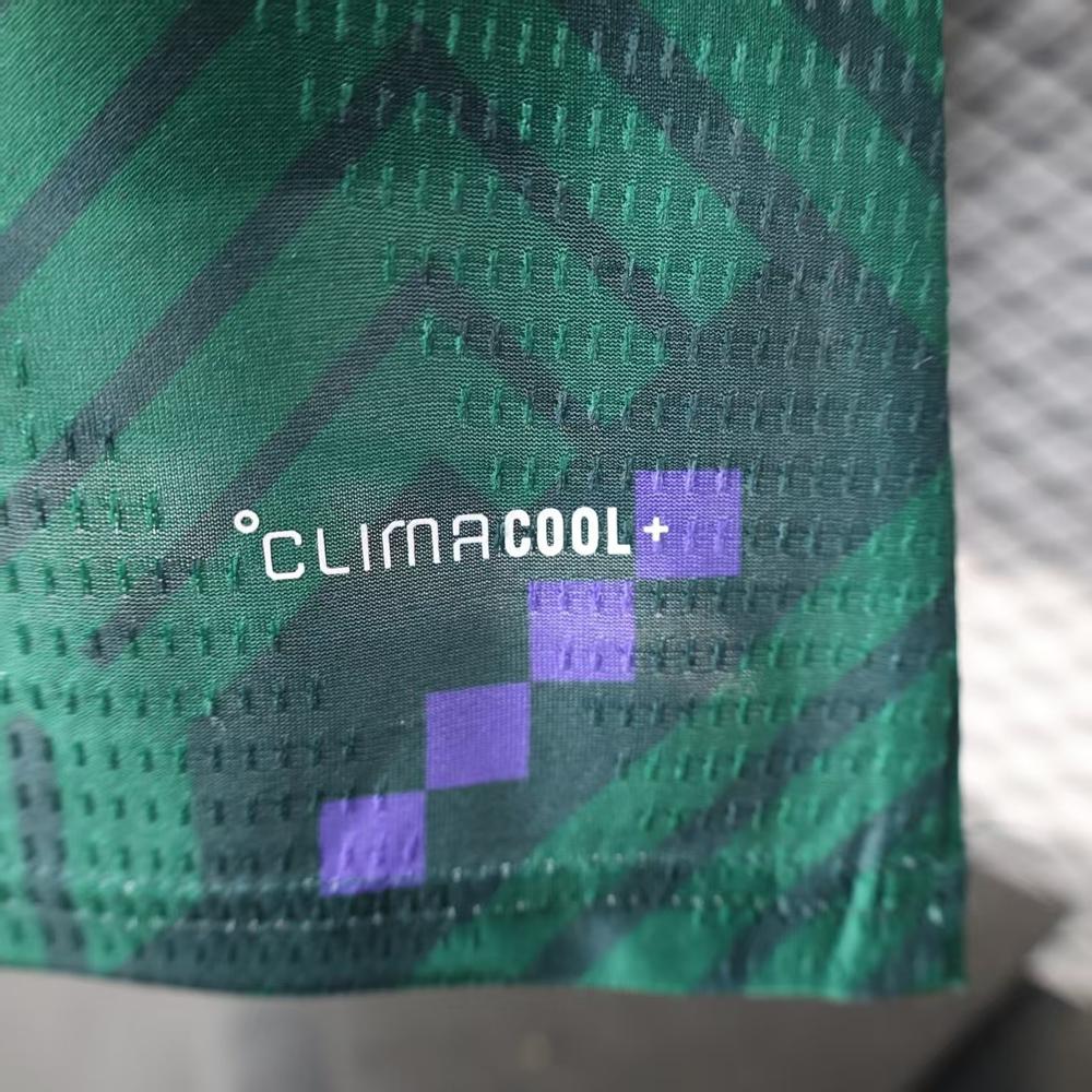 Players: 26 Saudi owners - Image 2