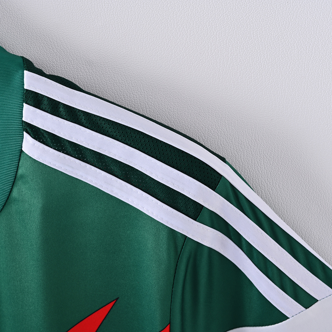 2014 Mexico home game - immagine 2