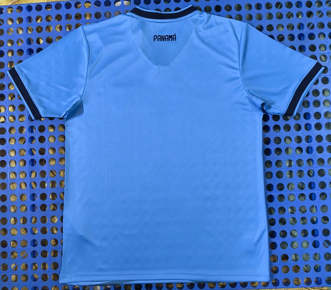 2025 Panama Second Passenger - Image 2