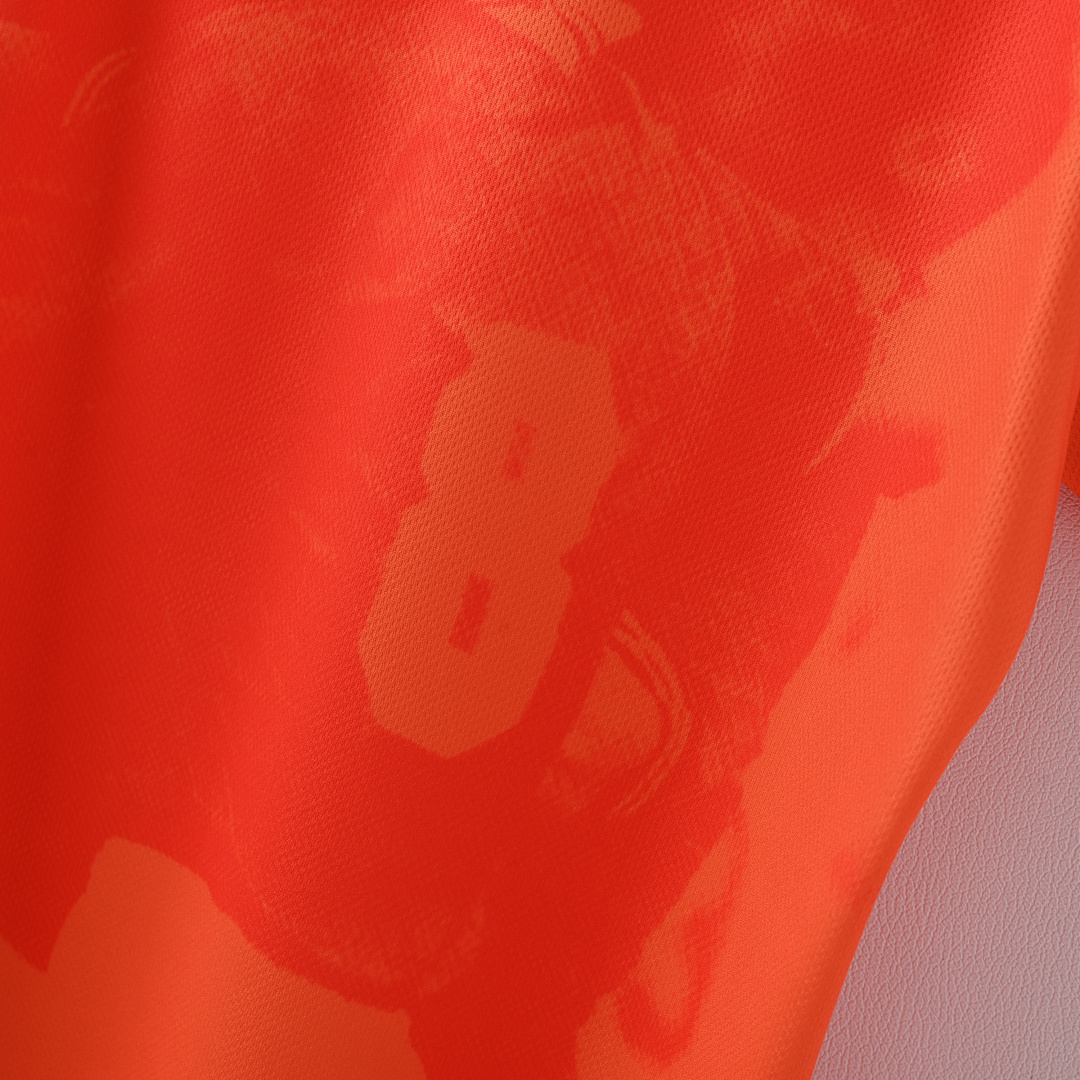 1996 Netherlands home game - immagine 3