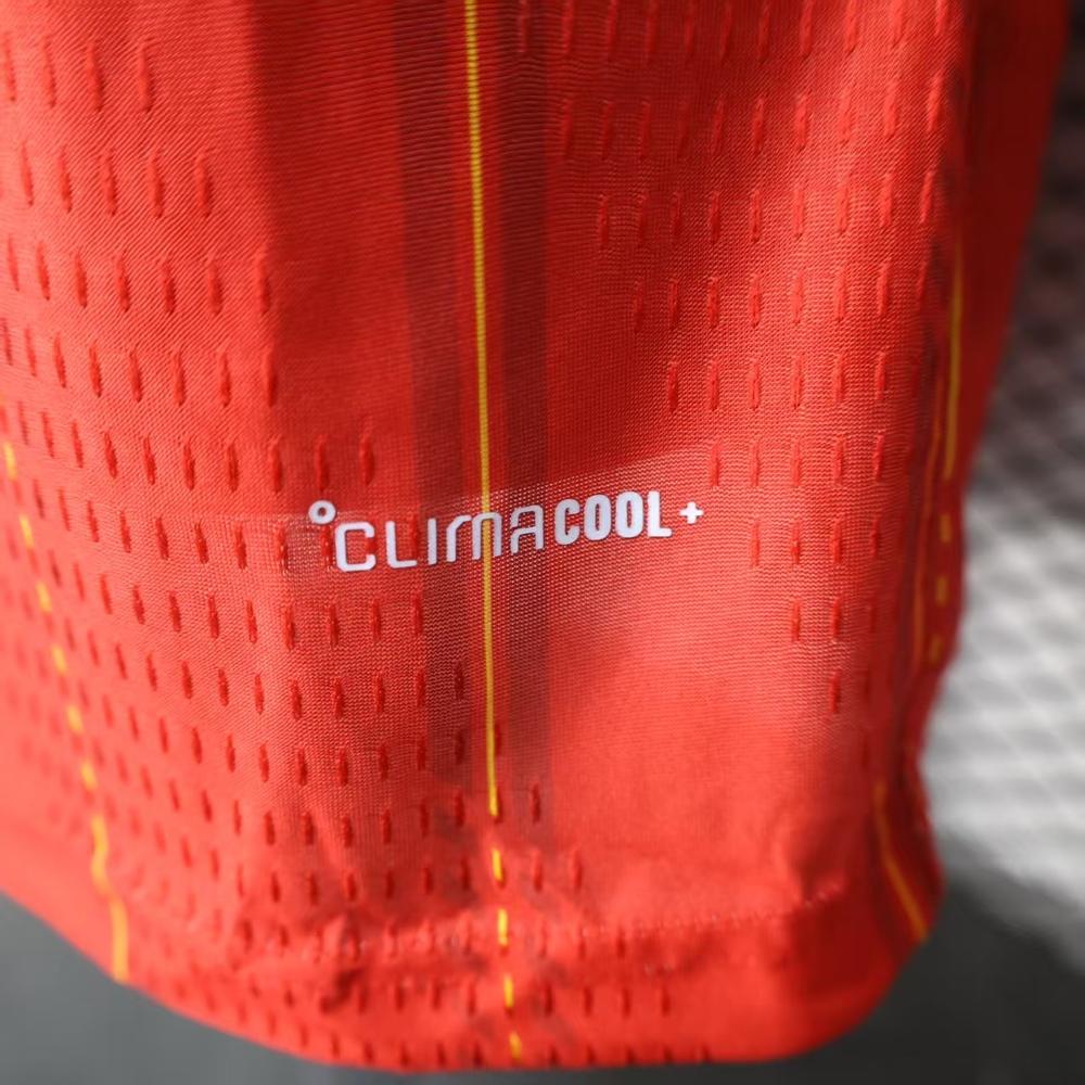 Players: 26 Spain main long sleeves - Image 4