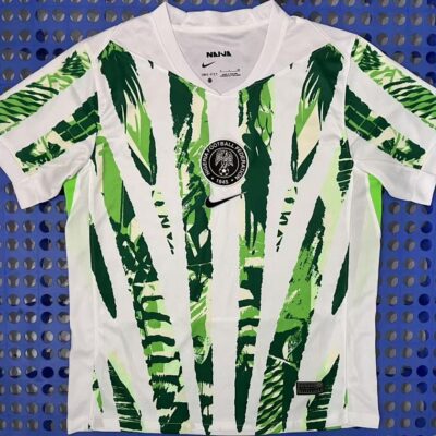 2025 Nigeria home game