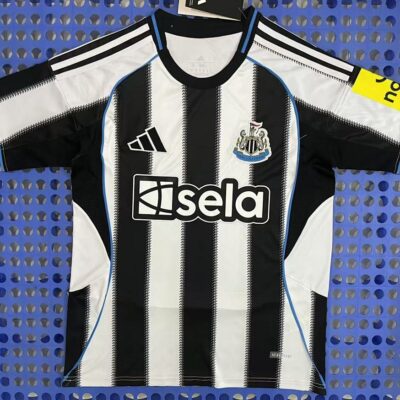 2025 Newcastle home stadium