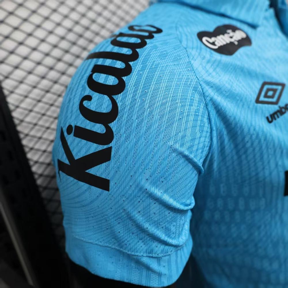 Player: Santos Blue - immagine 7