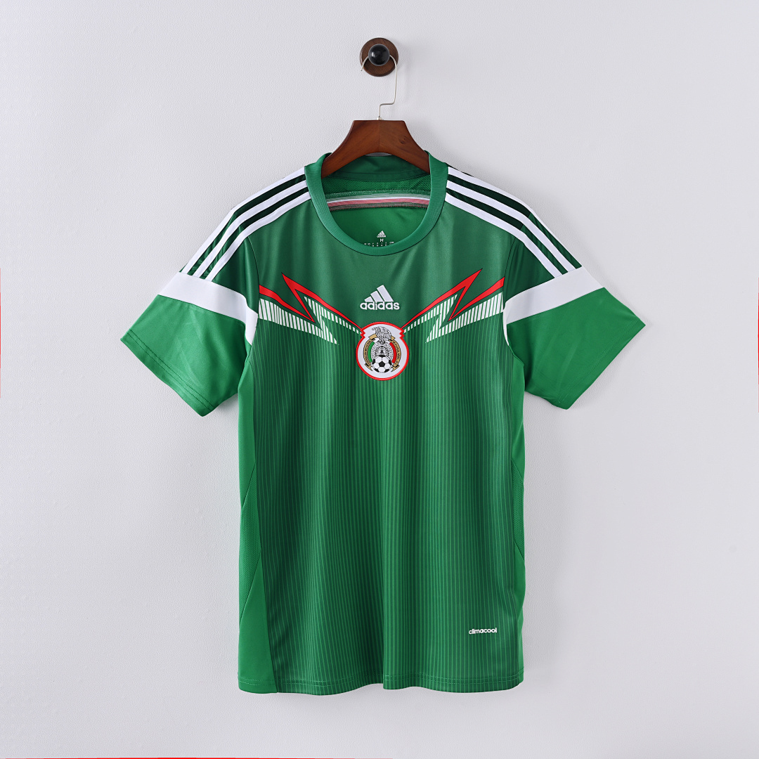 2014 Mexico home game